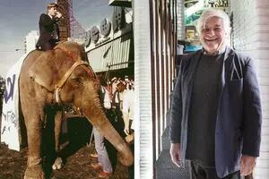 Alberto Albamonte: los comienzos de la UCeDé, la campaña en elefante y la “amnesia” de Boudou y Massa
