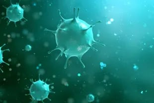 Los coronavirus son una familia amplia de virus, pero se sabe que solo seis (el nuevo sería el séptimo) infectan a las personas