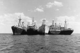 La flota amarilla fue un grupo de catorce barcos que quedaron bloqueados en el Canal de Suez (concretamente en el Gran Lago Amargo) de 1967 a 1975, debido a la Guerra de los Seis Días