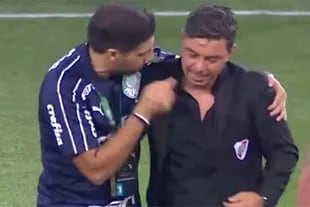 Abel Ferreira saluda a Gallardo tras eliminarlo con Palmeiras de la Copa Libertadores