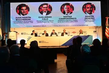 Juan Martín Bulgheroni, de PAE; Guillermo Calo, de Rincon Lithium Project; Matías Campodónico, de Dow; Martín Genesio, de AES Argentina