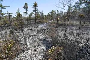 Habitantes de Halifax regresan a casas destruidas por incendios forestales