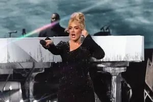 Adele frenó un recital y arremetió contra un guardia de seguridad para defender a un fan