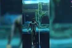 Un buceador descubre una “ciudad perdida” en la piscina más profunda del mundo