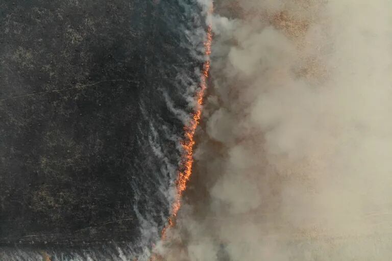 El fuego arrasó 934.238 hectáreas, casi el 11% del territorio de Corrientes