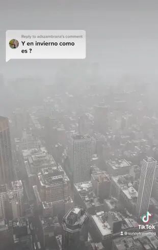 La tiktoker dijo que Nueva York siempre se ve así en invierno