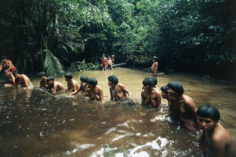 Una comunidad de yanomamis en plena jornada de pesca en el Amazonas venezolano (Foto: 2016)