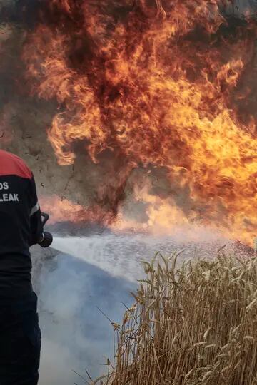 Los bomberos combaten el fuego Obanos y Legarda, España