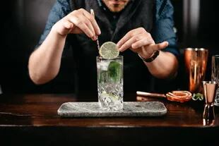 El gin tonic es hoy el trago que sostiene el auge del gin