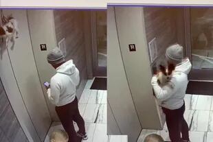 El hombre tardó unos segundos en ver al perro colgado del ascensor, pero luego reaccionó rápidamente