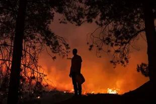 La región de Kabylie fue la más afectada por los peores incendios en la historia de Argelia.