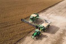 US$22.164 millones: la soja hará un histórico aporte a la economía por exportaciones