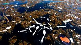 Un mar de basura en el Caribe