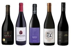 Qué etiquetas elegir para probar estos vinos