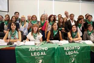 Representantes de distintos bloques introdujeron el 6 de marzo el proyecto por el Aborto Legal, Seguro y Gratuito en el Congreso
