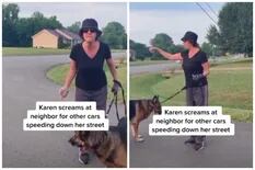 Lo cruzó una vecina, lo insultó con furia y él la expuso en un video: “Hasta su perro se avergonzó de ella”