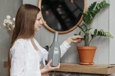 Por qué pequeñas tareas como regar las plantas o doblar la ropa son tan terapéuticas