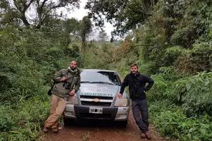 Tras las huellas. El desafío de rastrear águilas fantasmas en la selva argentina