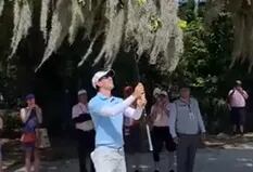 El extraño tiro de un golfista desde un árbol que obligó a revisar los libros de reglas