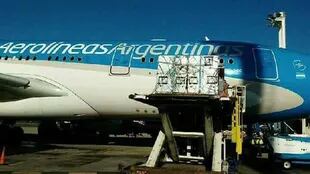 Los animales del zoológico Colon fueron transportados en un avión de Aerolíneas Argentinas