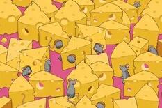 El desafío de los 10 segundos: ¿podés resolver el acertijo de los ratones y los quesos?