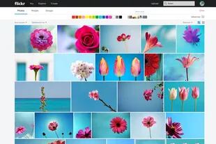 La búsqueda en Flickr ahora permite definir una paleta de colores, un estilo de imagen y buscar fotos por palabras clave aún si no fueron etiquetadas manualmente con ese término
