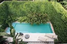 5 plantas para darle un estilo tropical a tu jardín
