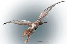 Encontraron los primeros restos de reptiles voladores en el Hemisferio Sur y pusieron en jaque el origen de la especie