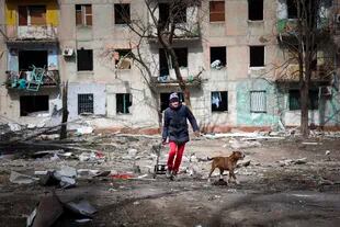 Un hombre camina con su perro cerca de un edificio dañado por los bombardeos de los combates en las afueras de Mariupol