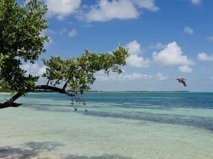 La Reserva Natural de Sian Ka'an en Quintana Roo conservan lo mejor de la Riviera Maya. Fuente: Wikipedia.
