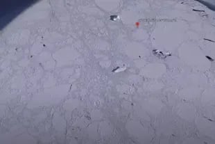 La figura de hielo fue hallada en la costa de la Antártida