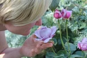 Cómo lograr un universo de aromas en el jardín