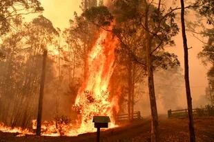 Australia en llamas; crece el miedo que despierta la crisis climática