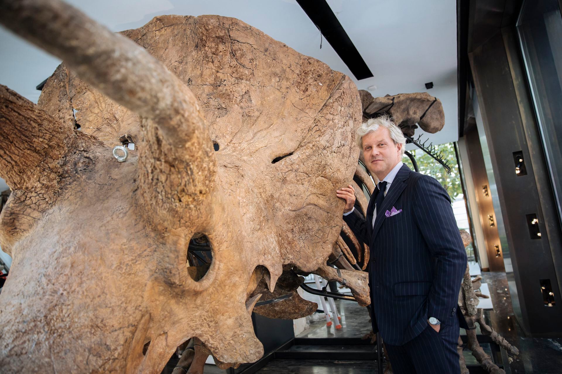 El subastador Alexandre Giquello posa frente a Big John, el esqueleto de triceratops más grande conocido mientras lo ensamblan en una sala de exposición en París