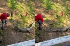 Un hombre usó una sartén para pelear contra un cocodrilo