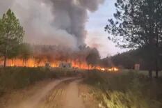Corrientes exime del pago de impuestos a los campos afectados por los incendios