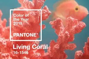 Living Coral, el color del año según Pantone