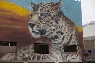 El puerto arenero de Buenos Aires, junto a la Dársena F, se llenó de color a partir con los gigantescos murales de los artistas Bernardo Ezcurra y Alfredo Segatori
