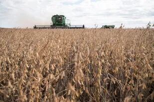 El conflicto militar provocó una estampida: bajó la soja y el trigo cerró con una fuerte suba