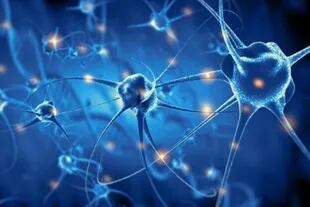 El consenso entre los expertos sobre la conciencia humana, es que reside en el cerebro y en la densa red de conexiones neuronales