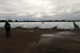 La AFIP incautó casi 7000 toneladas de granos en silobolsas sin declarar