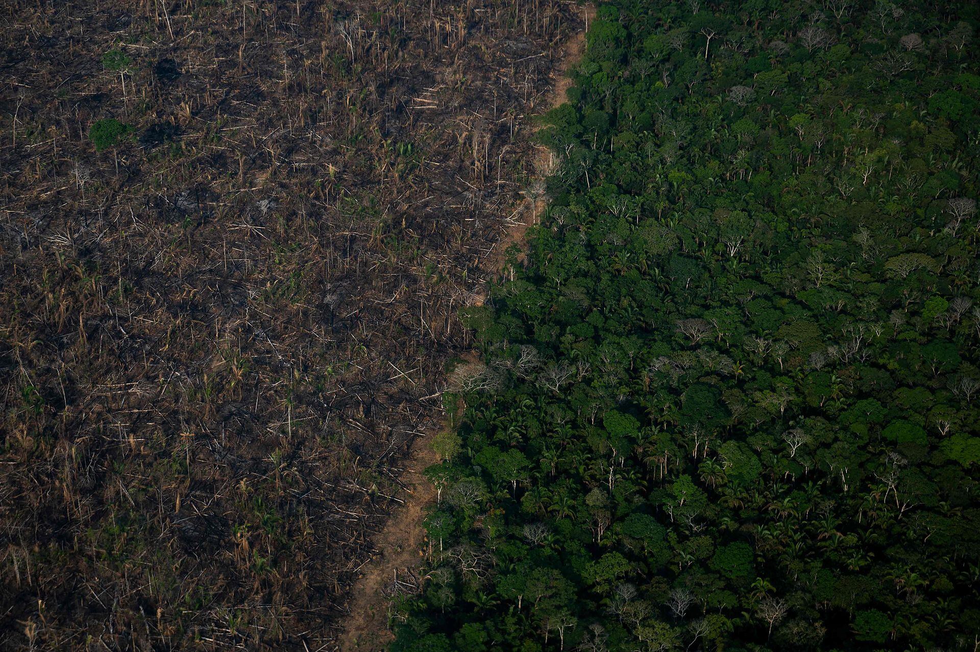 Área deforestada de la selva amazónica en Lábrea, estado de Amazonas