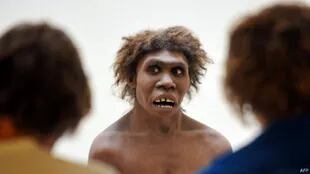 El hombre de Neandertal dominó Europa durante 200.000 años, pero se extinguió unos pocos miles de años tras la llegada del hombre moderno.