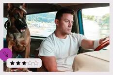 Dog, un viaje salvaje marca un promisorio debut como director para su estrella, Channing Tatum