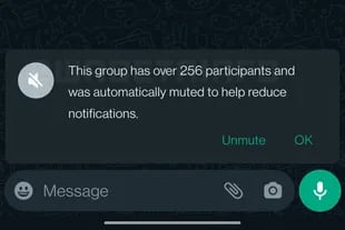 La captura de pantalla que muestra cómo se silenciarán las notificaciones en forma automática de grupos de chat con más de 256 participantes