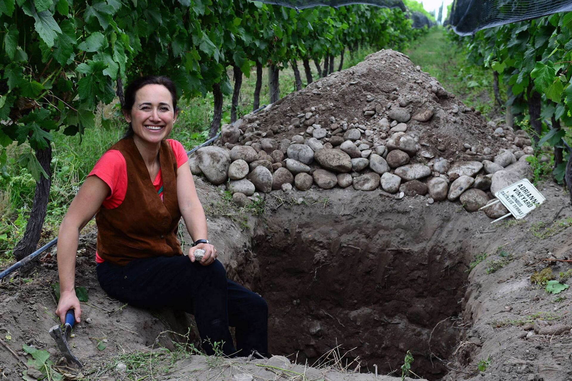 Dra. Laura Catena en el viñedo de Gualtallary