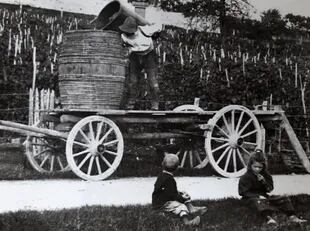 Grandes carromatos eran utilizados en las cosechas.