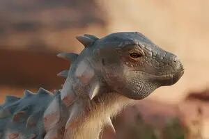 Cómo era el nuevo dinosaurio acorazado hallado en Río Negro que ayuda a completar un vacío científico