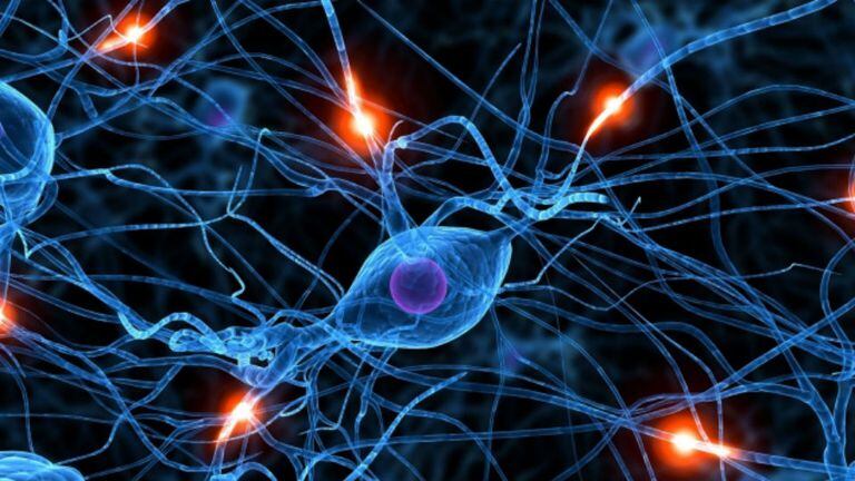 En el cerebro se produce una pérdida selectiva en el número de neuronas que se encargan de la producción de un neurotransmisor llamado dopamina