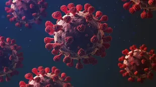 Se cree que hasta 30% de las personas contagiadas con coronavirus no presentan síntomas
